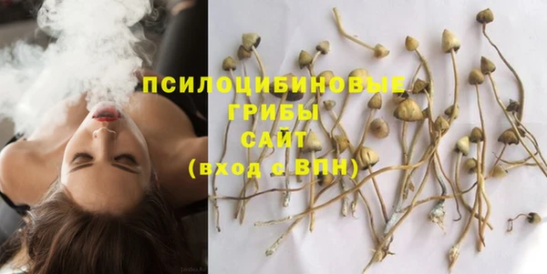 ALPHA-PVP Богородицк