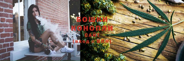 2c-b Богородск